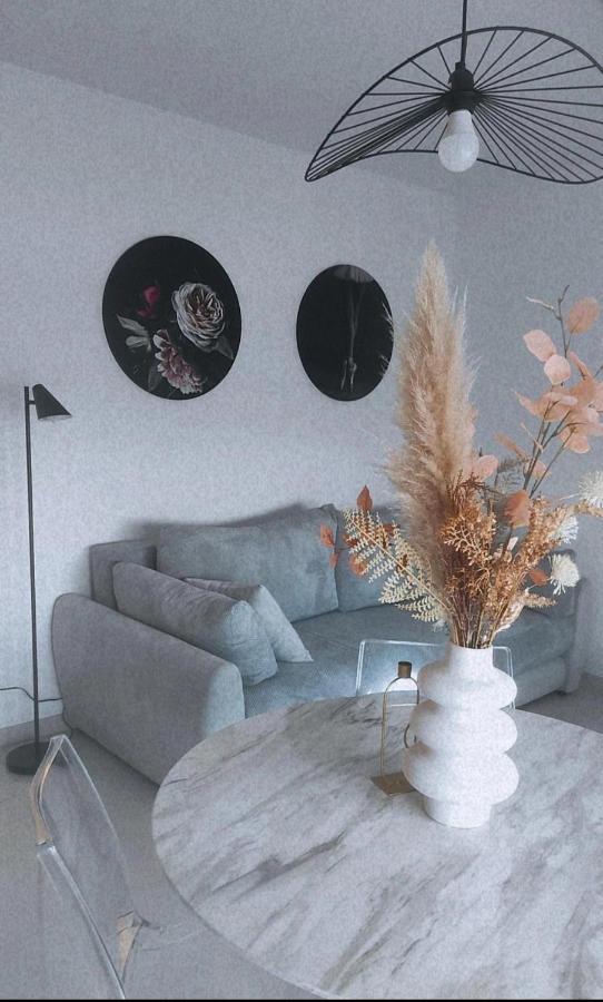 شقة New Apartman P & B تروغير المظهر الخارجي الصورة